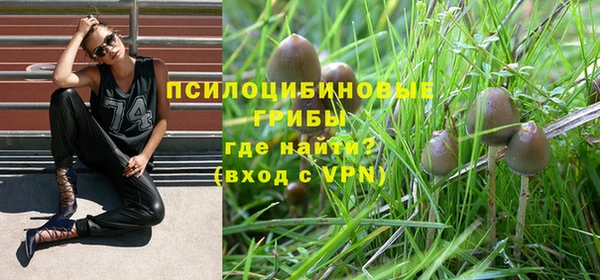 стаф Гусь-Хрустальный