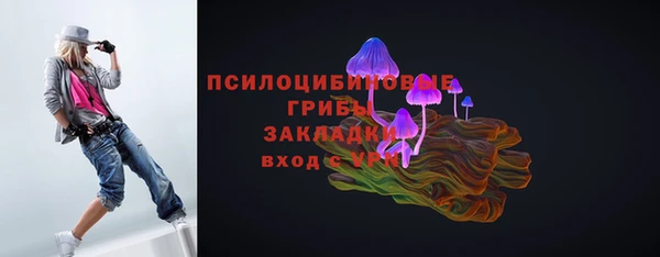 стаф Гусь-Хрустальный