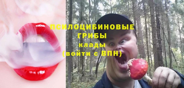 стаф Гусь-Хрустальный
