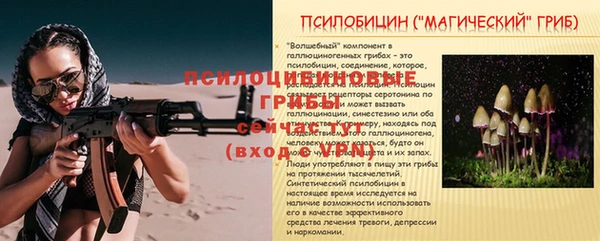 амфетамин Гусев