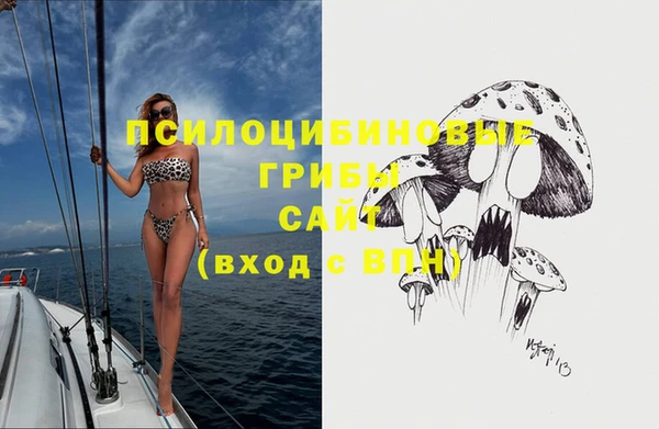 Альфа ПВП Гусиноозёрск
