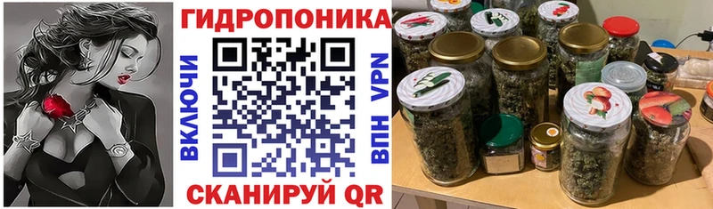 Бошки Шишки семена Харабали